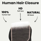 Body Wave 5x5 HD Lace Human Hair Closure