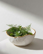 Ceramic Bowl - Gold Rim