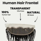 Jerry Curl 13x4 Transparent Lace Human Hair Frontal