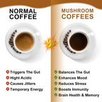 Mushroom Coffee - 10 Mushroom Extract Blend for Energy & Immunity